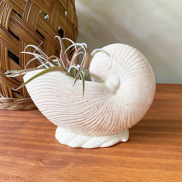 Vintage Ceramic Shell Planter Boho Eclectic Beach House Home Decor